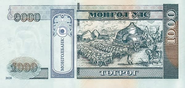 Юрта, запряженная волами